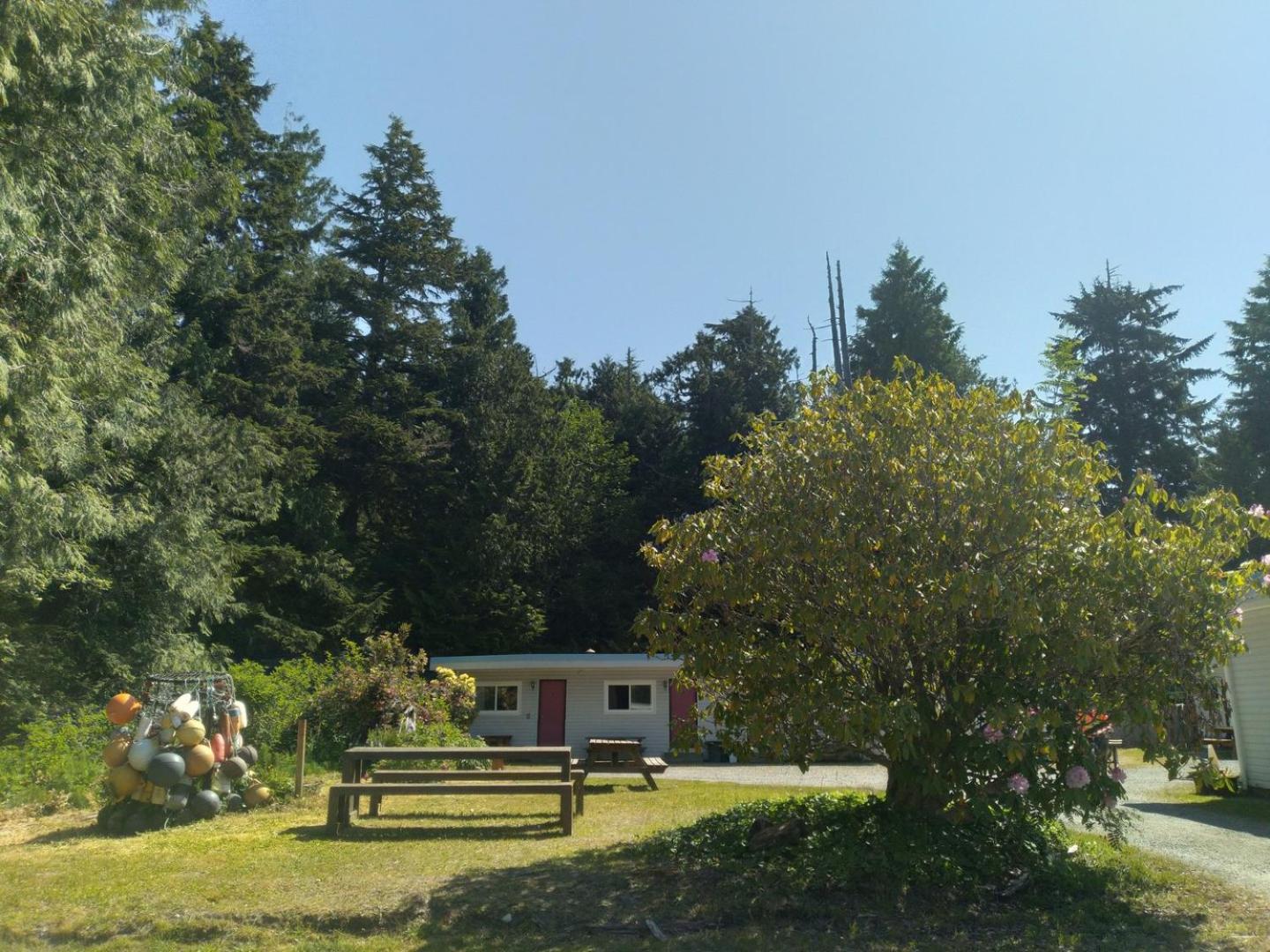 Dolphin Motel Tofino Exteriér fotografie